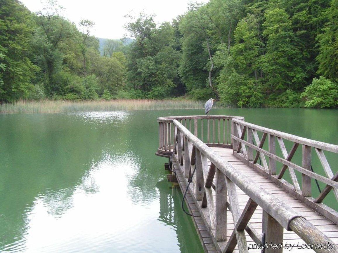 Zum Ochsen 4* Arlesheim